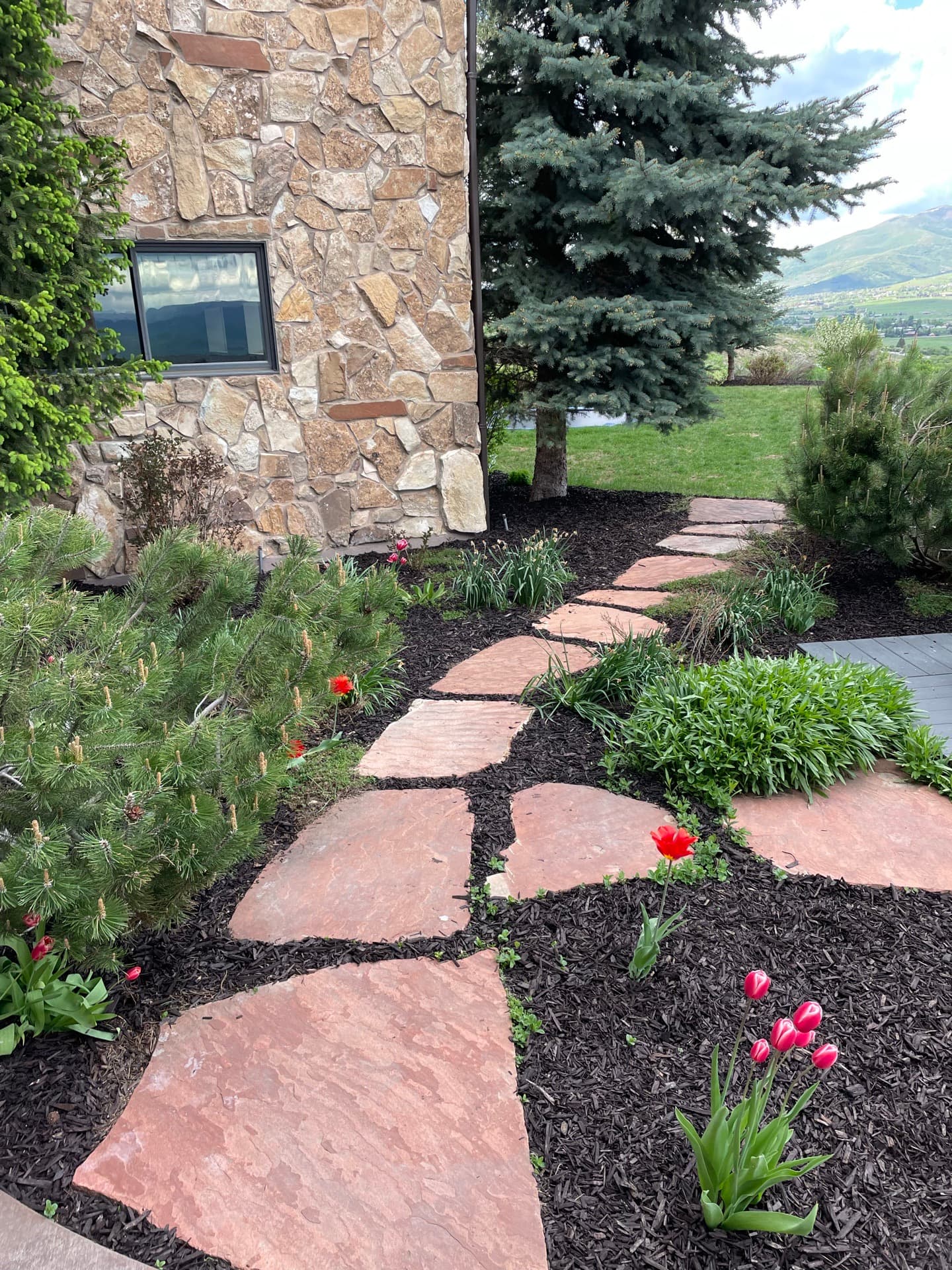 Flagstone path with dark mulch, tulips, and a stone house